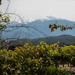 Casa vacanze Pure Canigou House An Authentic And Charming Town House With 3 Bedrooms *