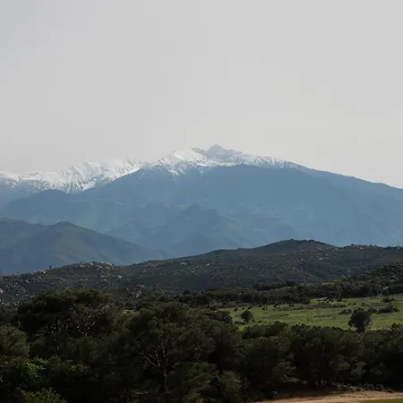 Pure Canigou House An Authentic And Charming Town House With 3 Bedrooms Ferienhaus Montalba-le-Chateau