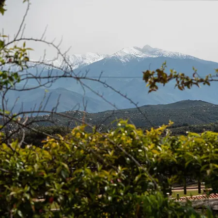 Ferienhaus Pure Canigou House An Authentic And Charming Town House With 3 Bedrooms *