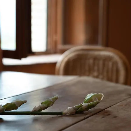 Maison Pure Canigou Spacious Authentic In Historic Le Chateau Near Perpignan Hébergement de vacances