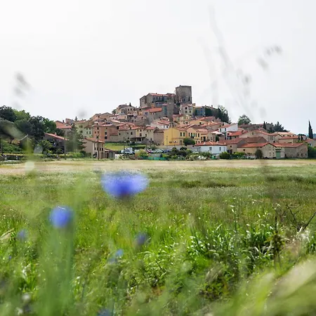 Hébergement de vacances Maison Pure Canigou Spacious Authentic In Historic Le Chateau Near Perpignan *