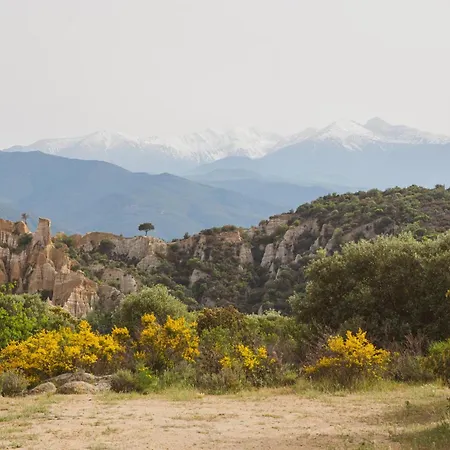 Maison Pure Canigou Spacious Authentic In Historic Le Chateau Near Perpignan Montalba-le-Chateau