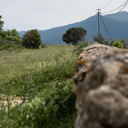 Maison Pure Canigou Spacious Authentic In Historic Le Chateau Near Perpignan Montalba-le-Chateau